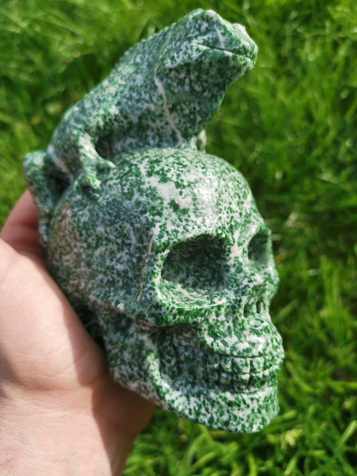 Agate Bicolore / Hamine   , Crâne de pierre naturelle , Crâne de voyance , vanité