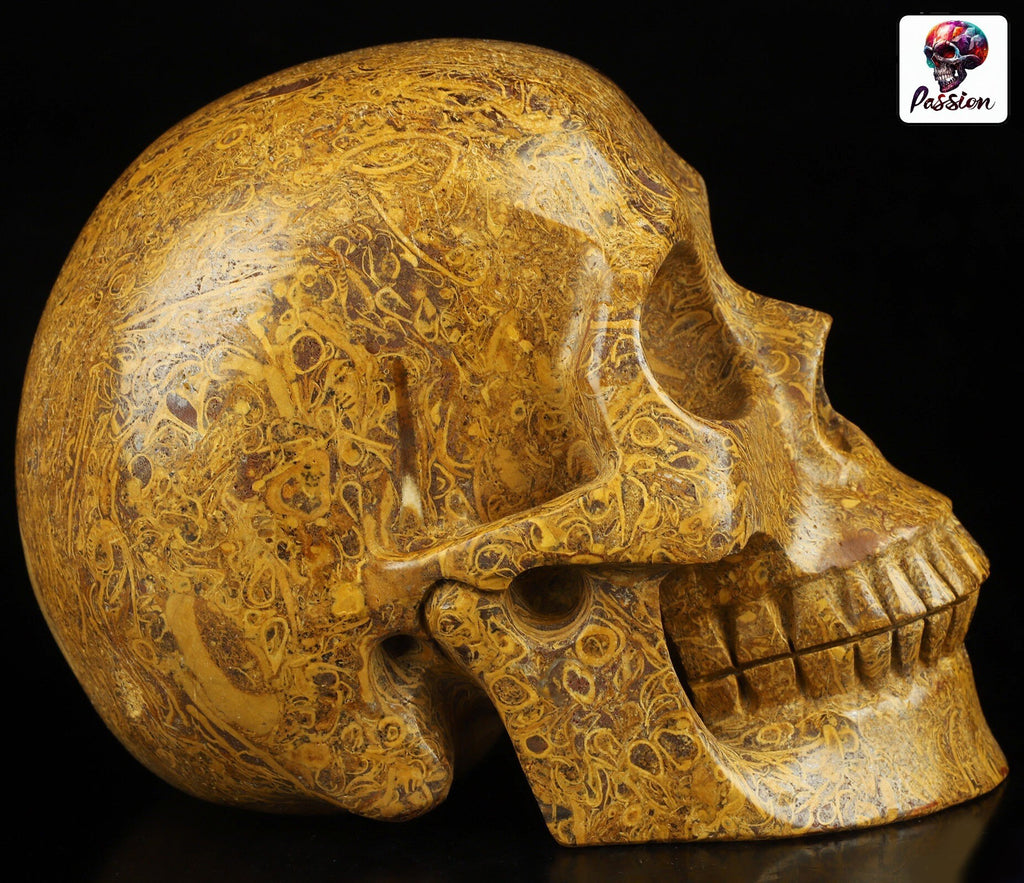Jaspe elefante, Escultura de Crânio Grande de 2,5 KG, Pedra natural / Vaidade / Memento mori