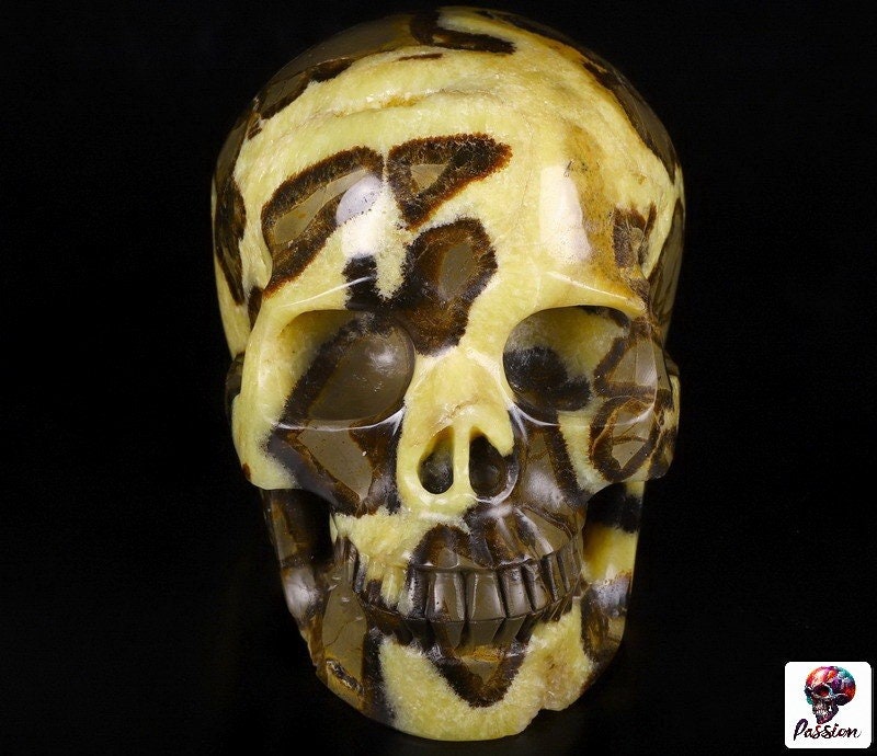 Septaria , Pierre du dragon , Grand Crâne XL 3.8 KG , Pierre naturelle  / tète de mort , vanité / Mémento mori