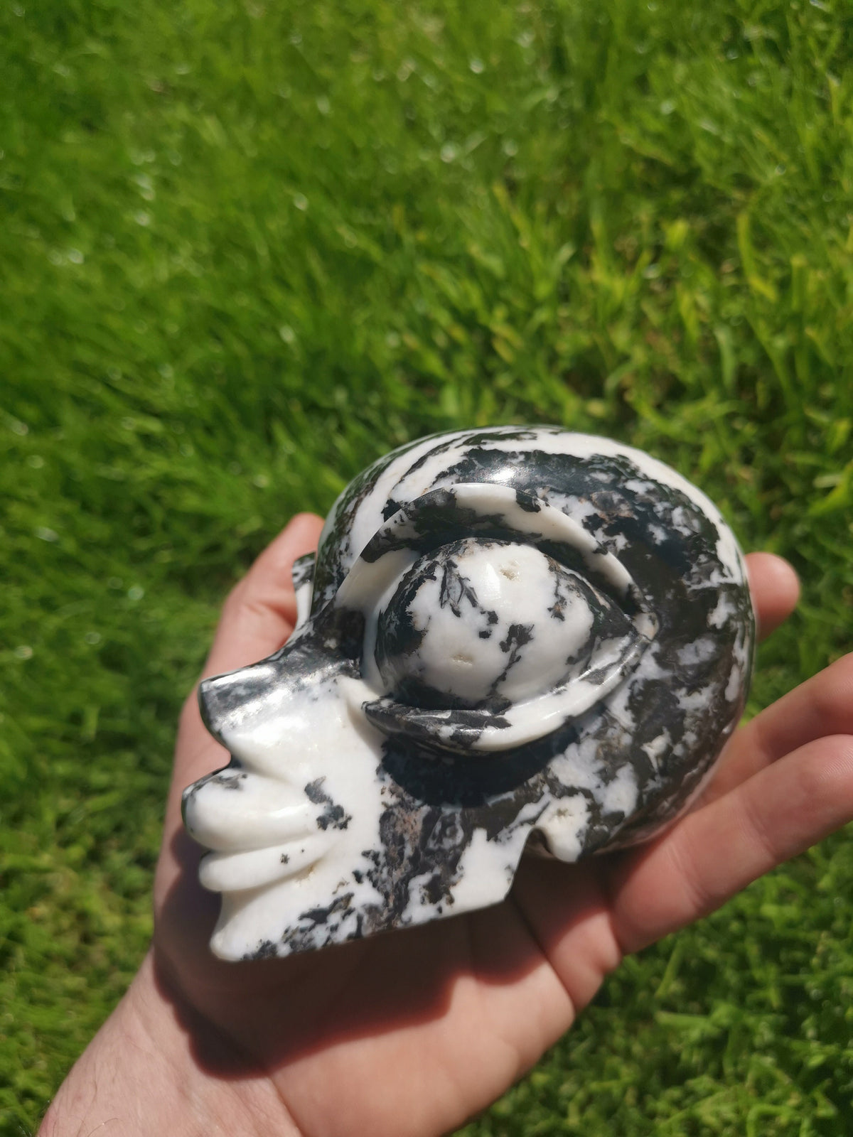 Jaspe ZEBRE  Sculpture Type Tete Africaine  de pierre naturelle  /  tète de mort / Cranio , SchÄdel , Craneo , Skull , reiki Crystal Skull