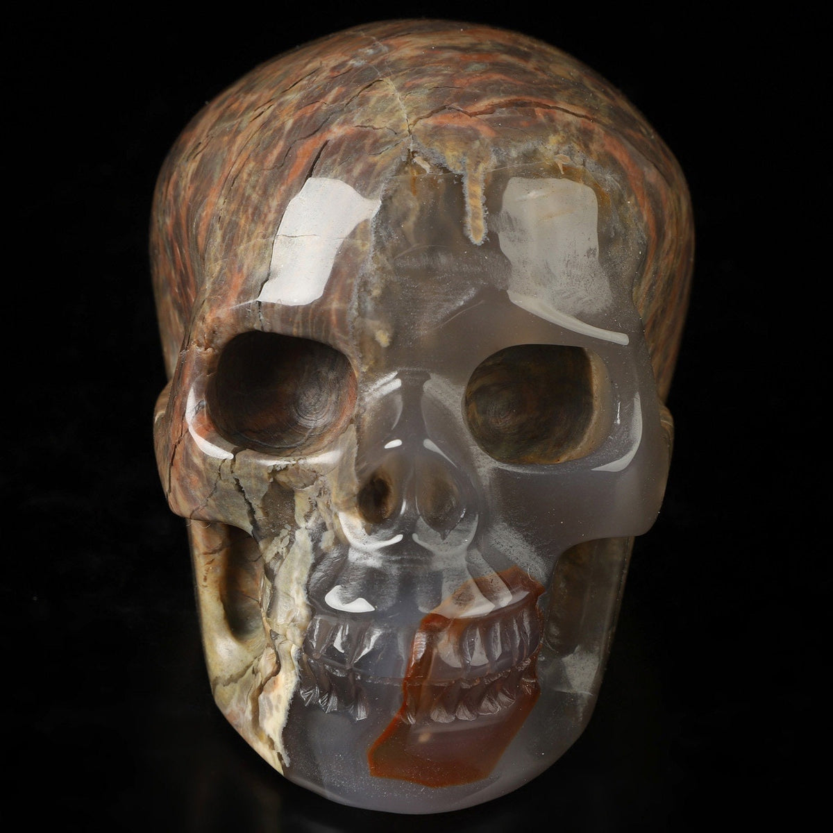 Agate known as Dinosaur Eggs, Natural Stone Skull Sculpture, Cabinet of Curiosities, Memento Mori, Vanity