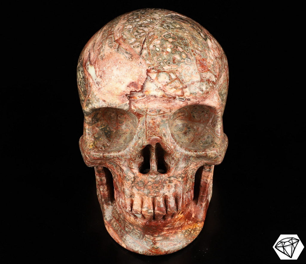 Jaspe Leopardo de México  /  Cráneo XXL  Piedra natural  / calavera / Memento mori