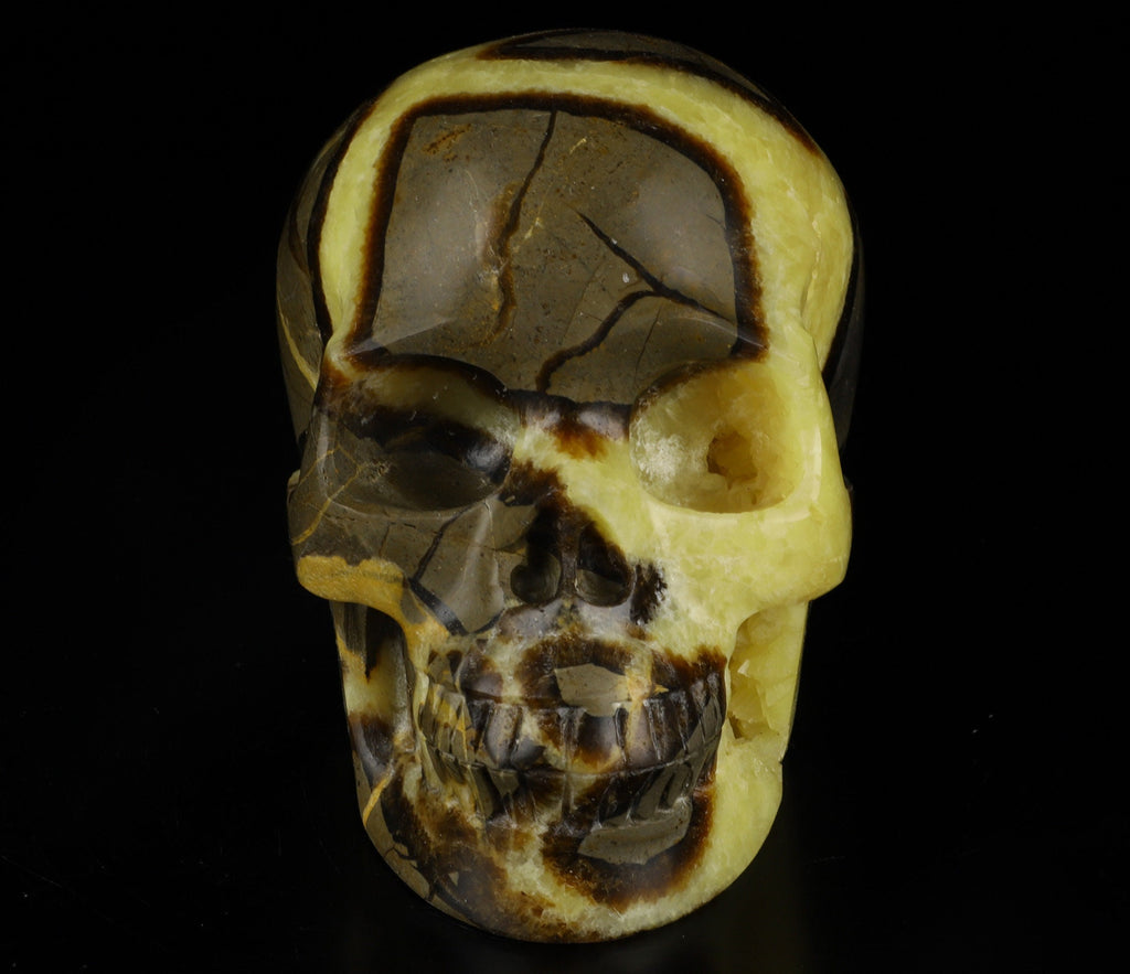 SEPTARIA Drakensteen , XL schedel van natuursteen , handgesneden Topkwaliteit , Cranio , SchÄdel , SKULL Kristallen schedel
