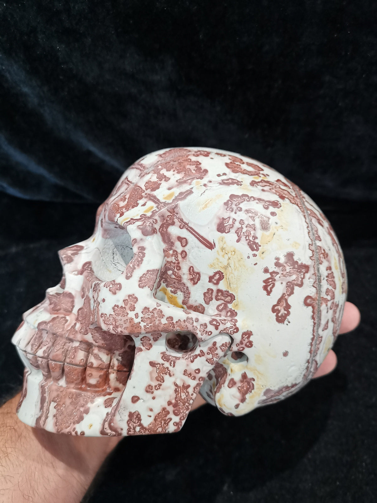Jaspe Paysage , Sculpture Crâne XL en pierre naturelle de collection / Cabinet curiosité / Memento mori