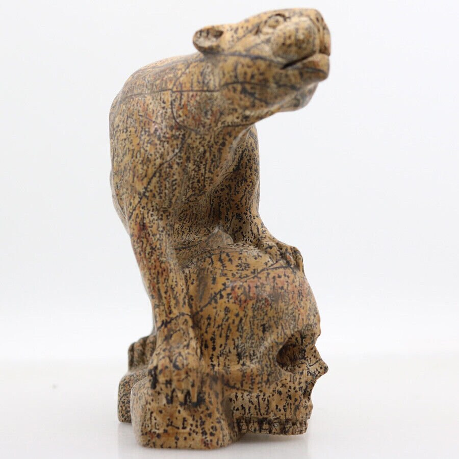 Felino su teschio in diaspro paesaggio · Scultura in pietra naturale