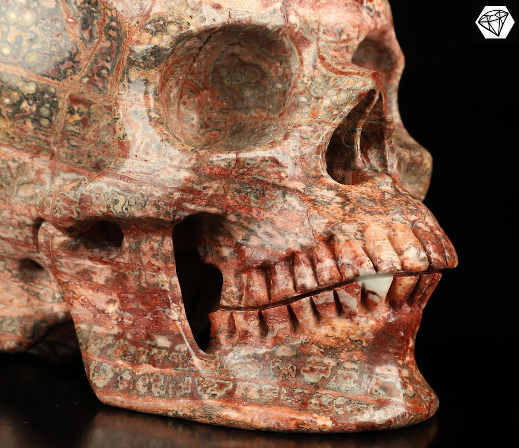 Jaspe Leopardo de México  /  Cráneo XXL  Piedra natural  / calavera / Memento mori