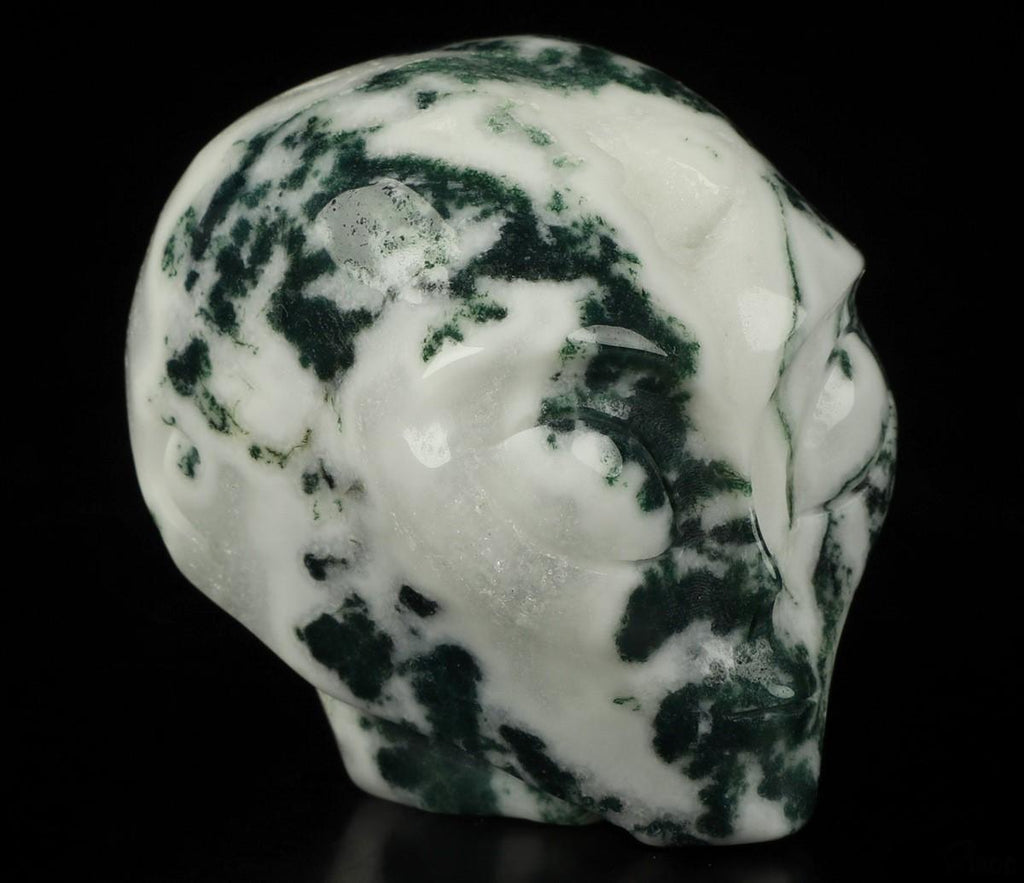 Agate ARBRE  / Tête Extra terrestre de Cristal / pierre naturelle  / REIKI  Skull , Cranio , SchÄdel , Roswell
