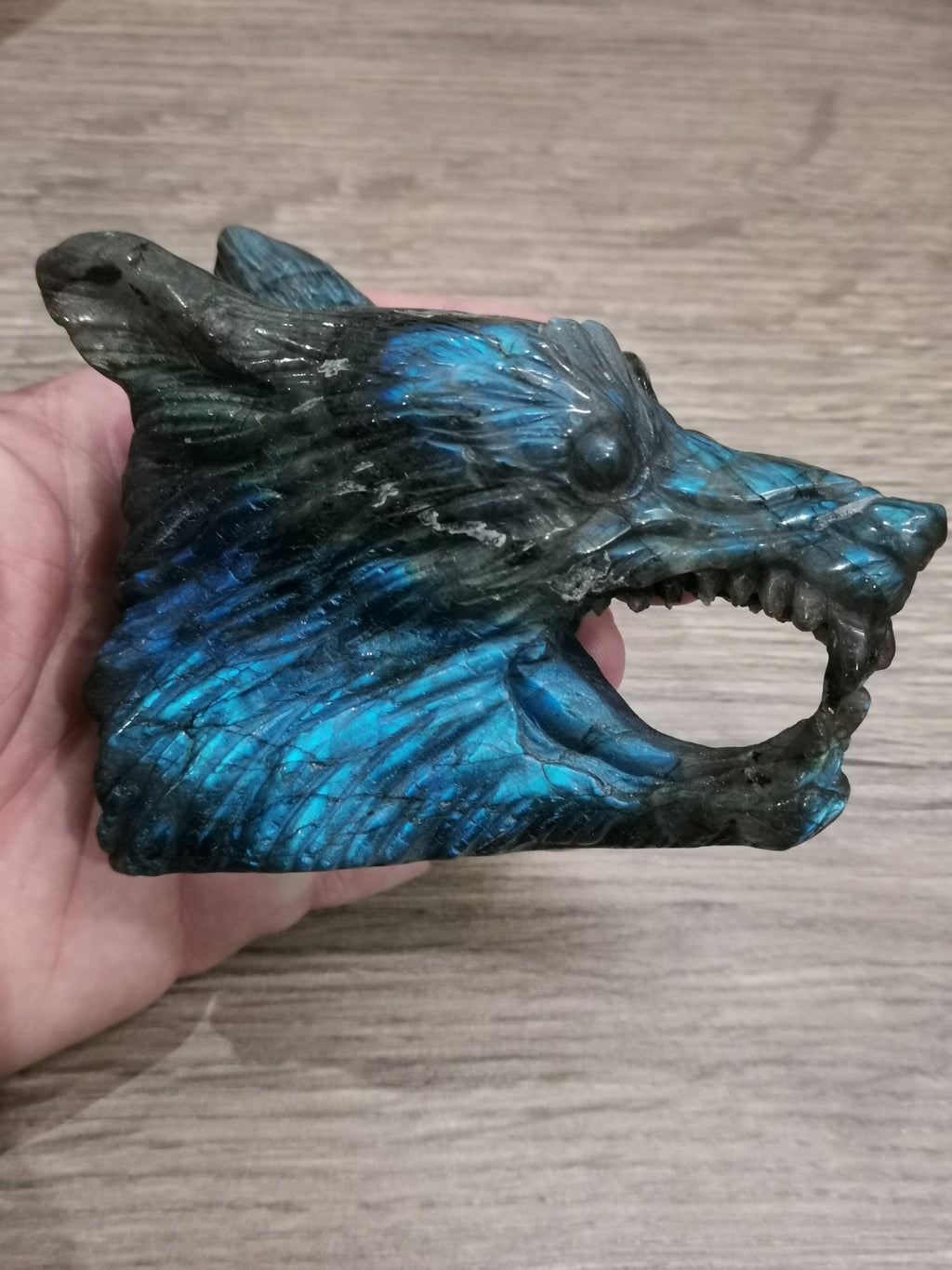 Tête de Loup féroce , Sculpture en Labradorite / Madagascar