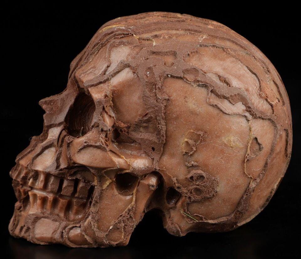 2" Jasper 3D Art / Natural stone skull / crystal healing / meditation Crystal Skull
