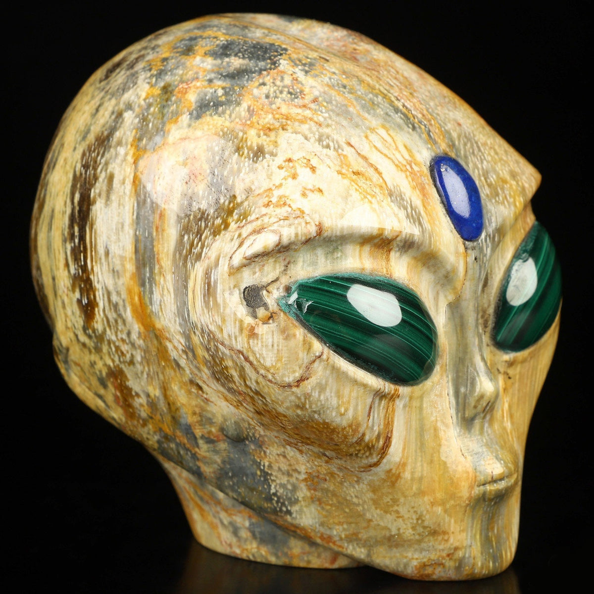 4.2" Crâne Alien pouce , Bois pétrifié / Extra terrestre Type Roswell , Skull , reikin , Invader