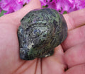 Cráneo alienígena de jaspe camuflaje, llamado piel de rana, mineral tallado de colección / REIKI Skull, cráneo, cráneo, cráneo