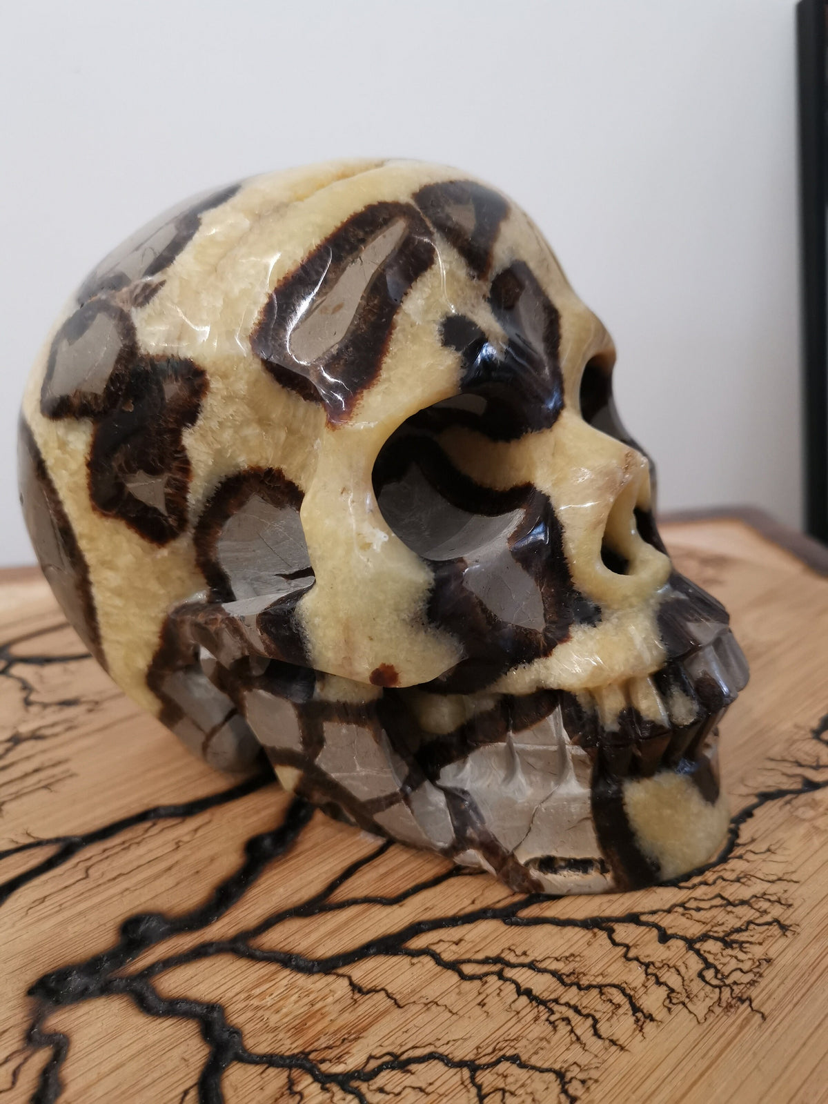Septaria , Pierre du dragon , Grand Crâne XL 3.8 KG , Pierre naturelle  / tète de mort , vanité / Mémento mori