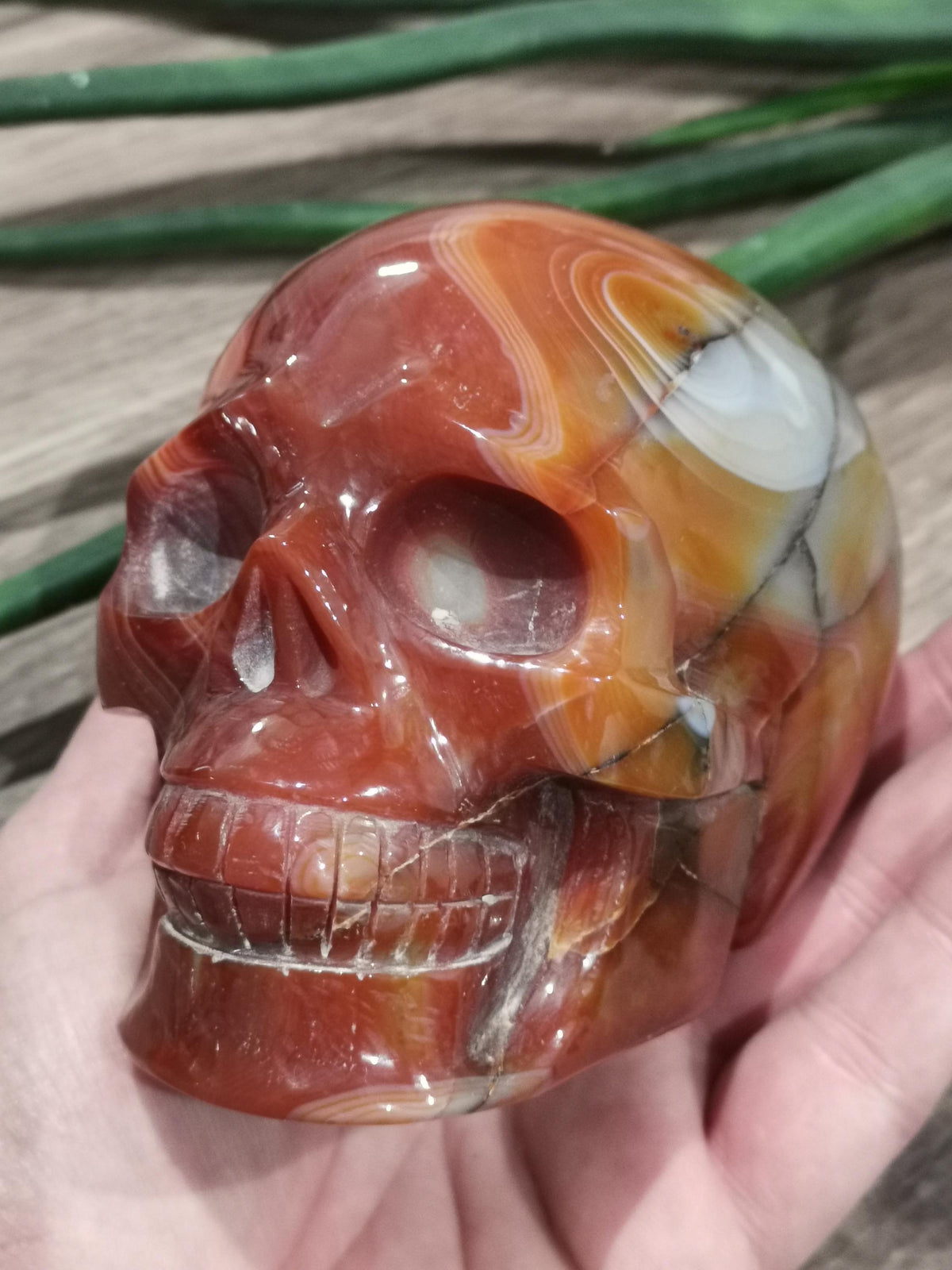 Carnelian Agate, Crystal Skull / 4 Inch Size , high quality / Lithotherapy / Cranio , SchÄdel , Cranio , Skull , reikin
