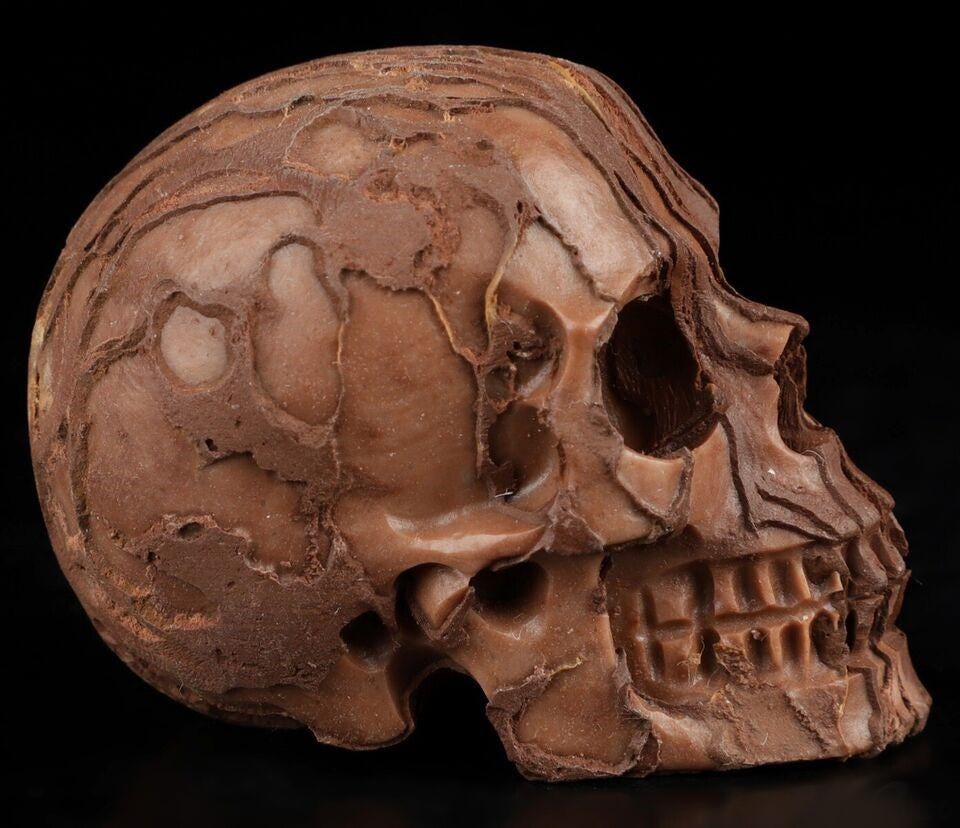 2" Jasper 3D Art / Natural stone skull / crystal healing / meditation Crystal Skull