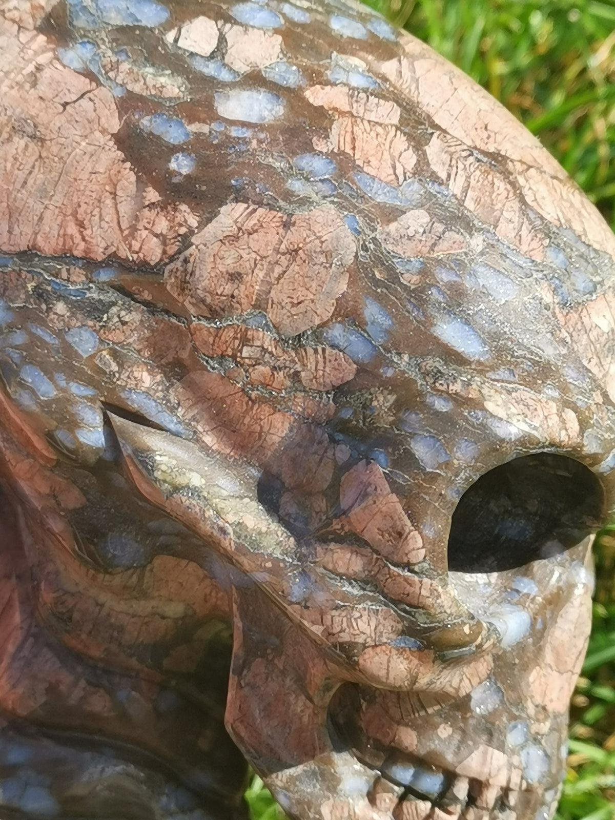 Opalenblauw; Que sera llanite, sculptuur van een langgerekt ALIEN-schedel / MAYA-reizigerschedel / lithotherapie / schedel; Cranio,