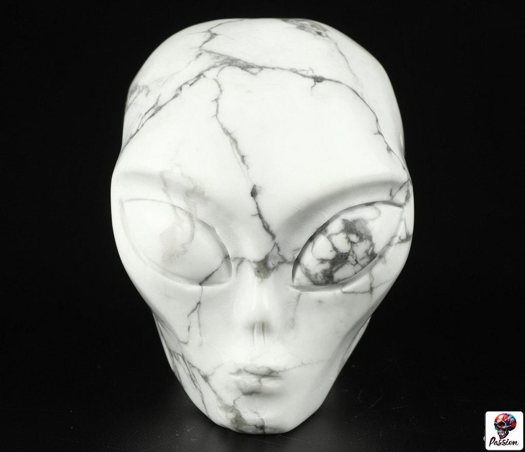 Howlite " turquesa blanca " ALIEN Roswell /Cráneo de piedra natural de colección / decoración Skull , Cráneo , SchÄdel , Cráneo