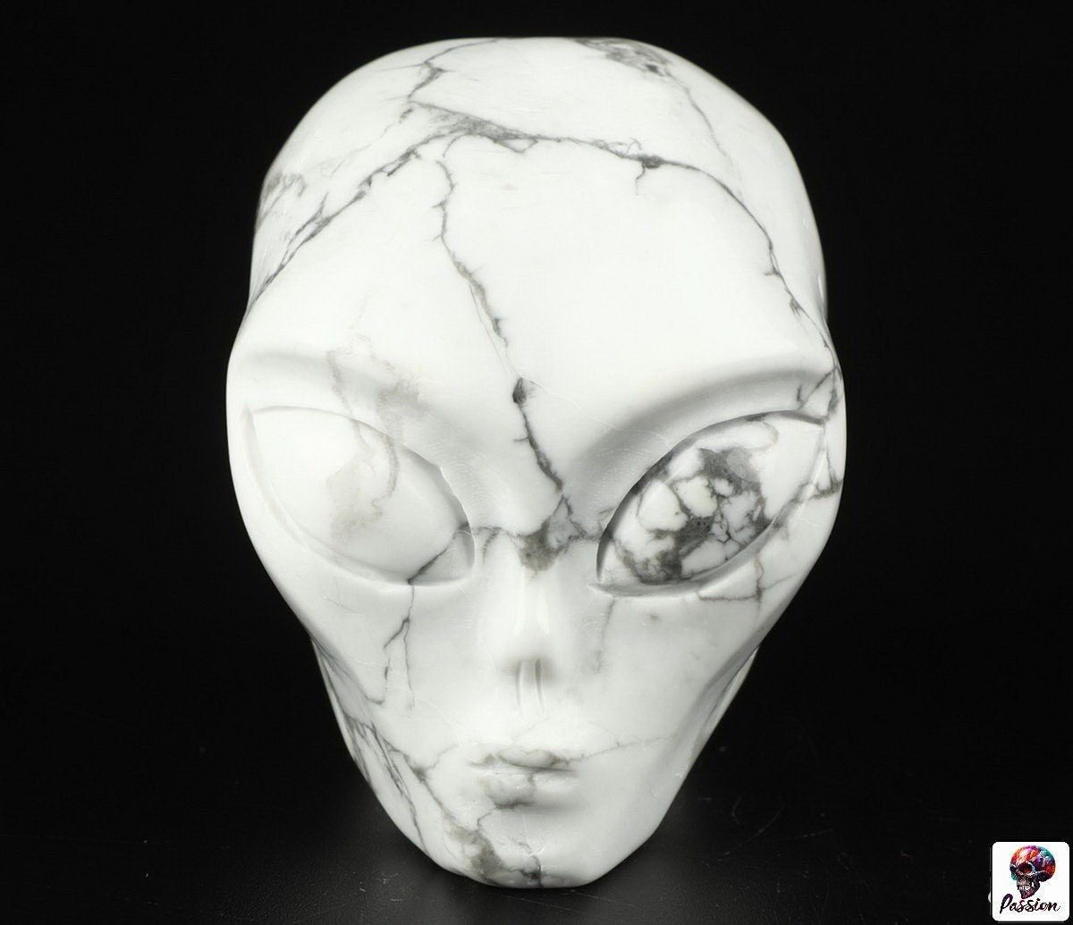 Howlite " turquoise blanche "  ALIEN  Roswell /Crâne pierre naturelle de collection / décoration  Skull , Cranio , SchÄdel , Craneo