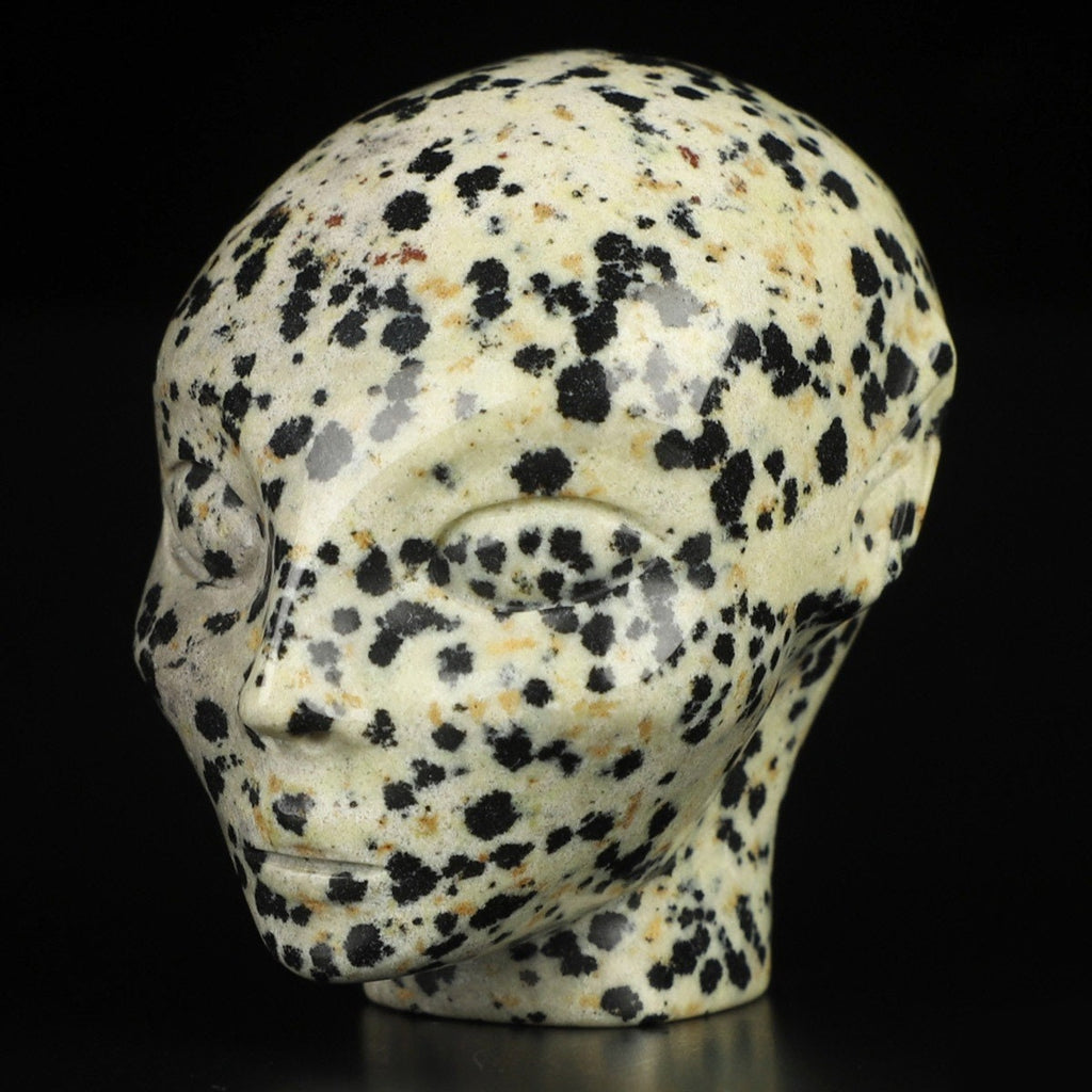 2" Elf / Fee / Avatar -> natuurlijke steen Dalmatian Jasper / Dalmatian Jasper , Skull Compagnion