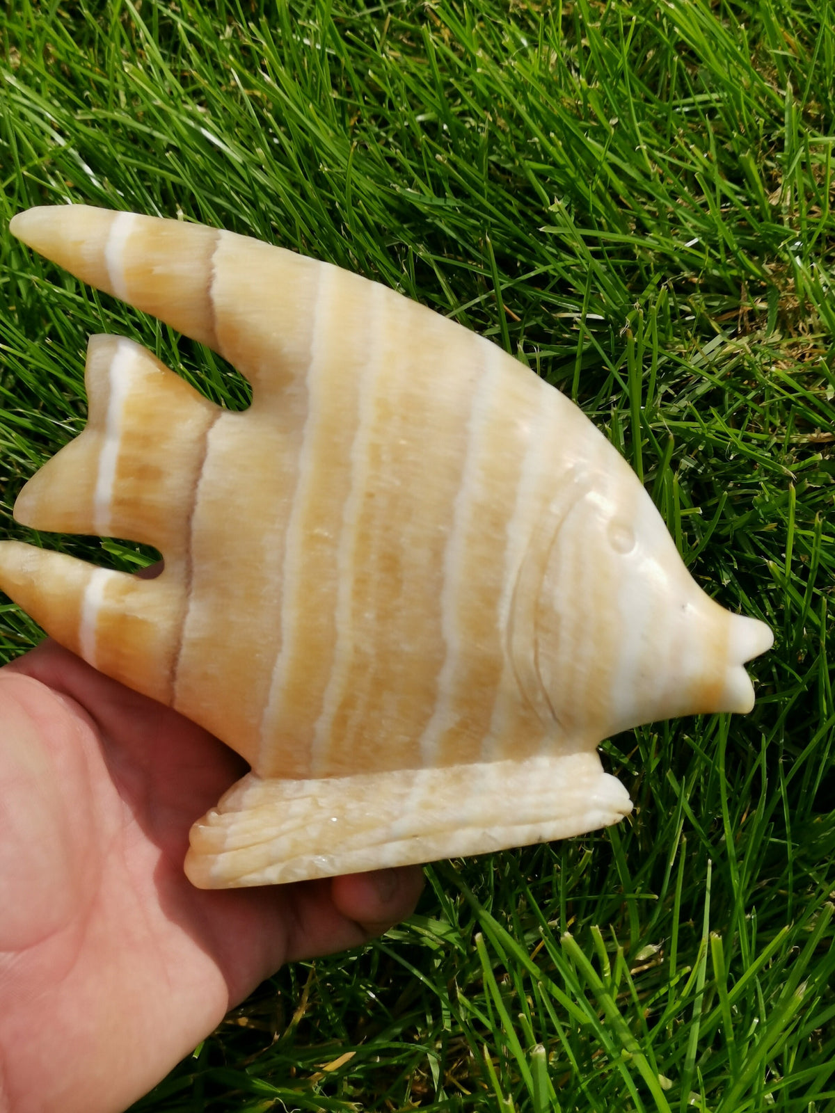 Sculpture Poisson En pierre naturelle calcite Jaune a bande ( Scalaire ? )
