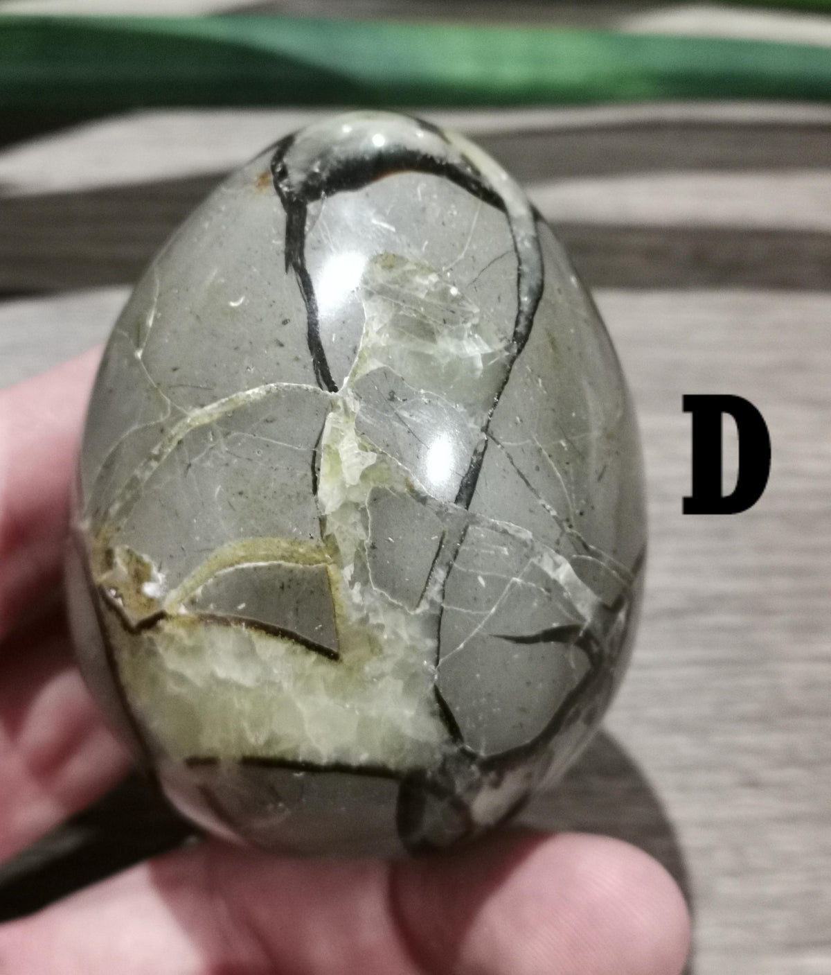 Septaria, Stein namens Drachenei --> EI nach Wahl, fluoreszierender Stein unter UV-Lampe