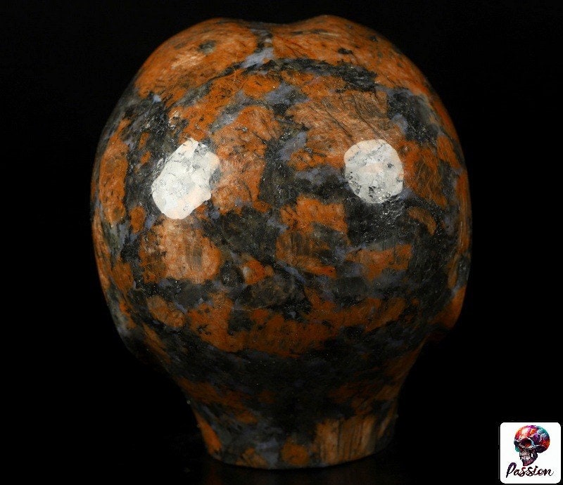 Bruin graniet, buitenaards hoofd -- > ALIEN Kristallen schedelcollectie / Lithotherapie / Meditatie / Crystal Skull Companion Star