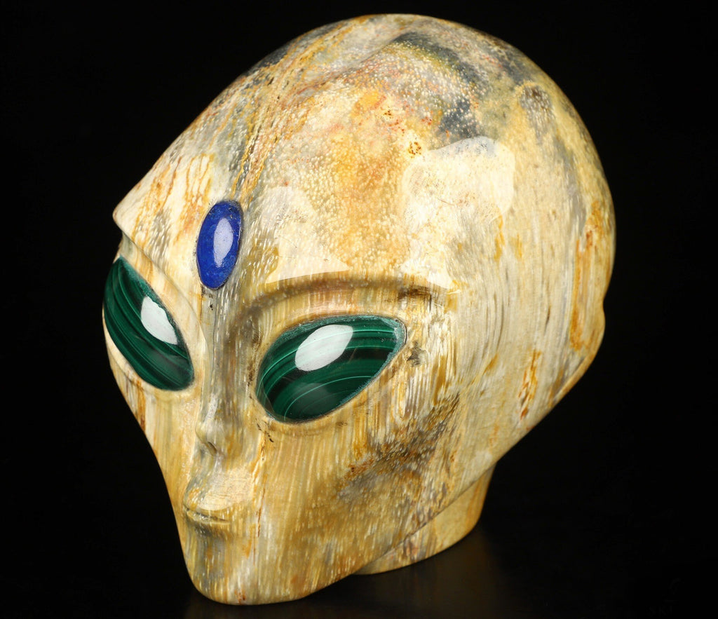 4.2" Crâne Alien pouce , Bois pétrifié / Extra terrestre Type Roswell , Skull , reikin , Invader