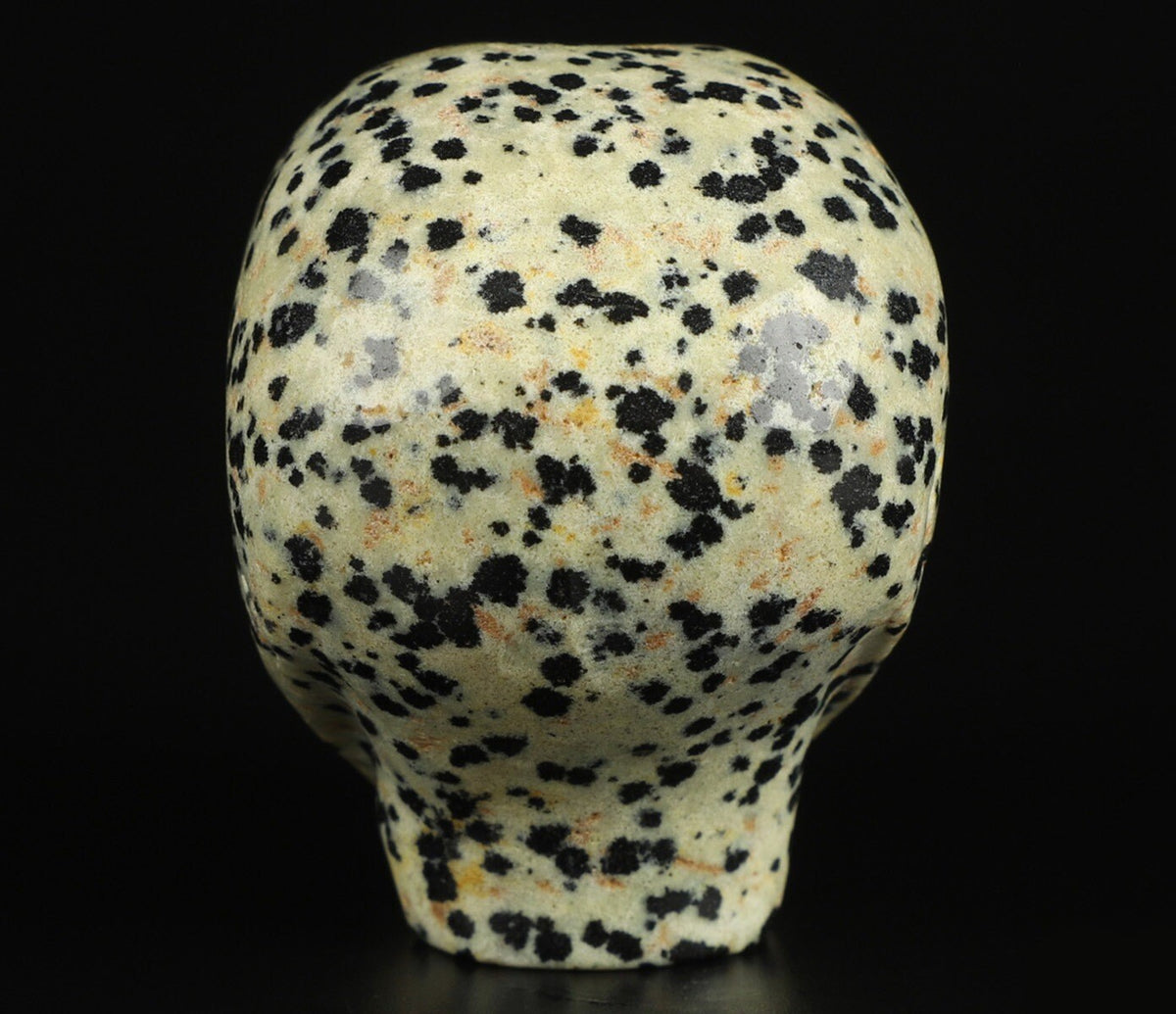 2" Jaspe Dalmatien ->  extra terrestre   Roswell /Crâne pierre naturelle de collection / décoration  Skull , Cranio , SchÄdel , Craneo