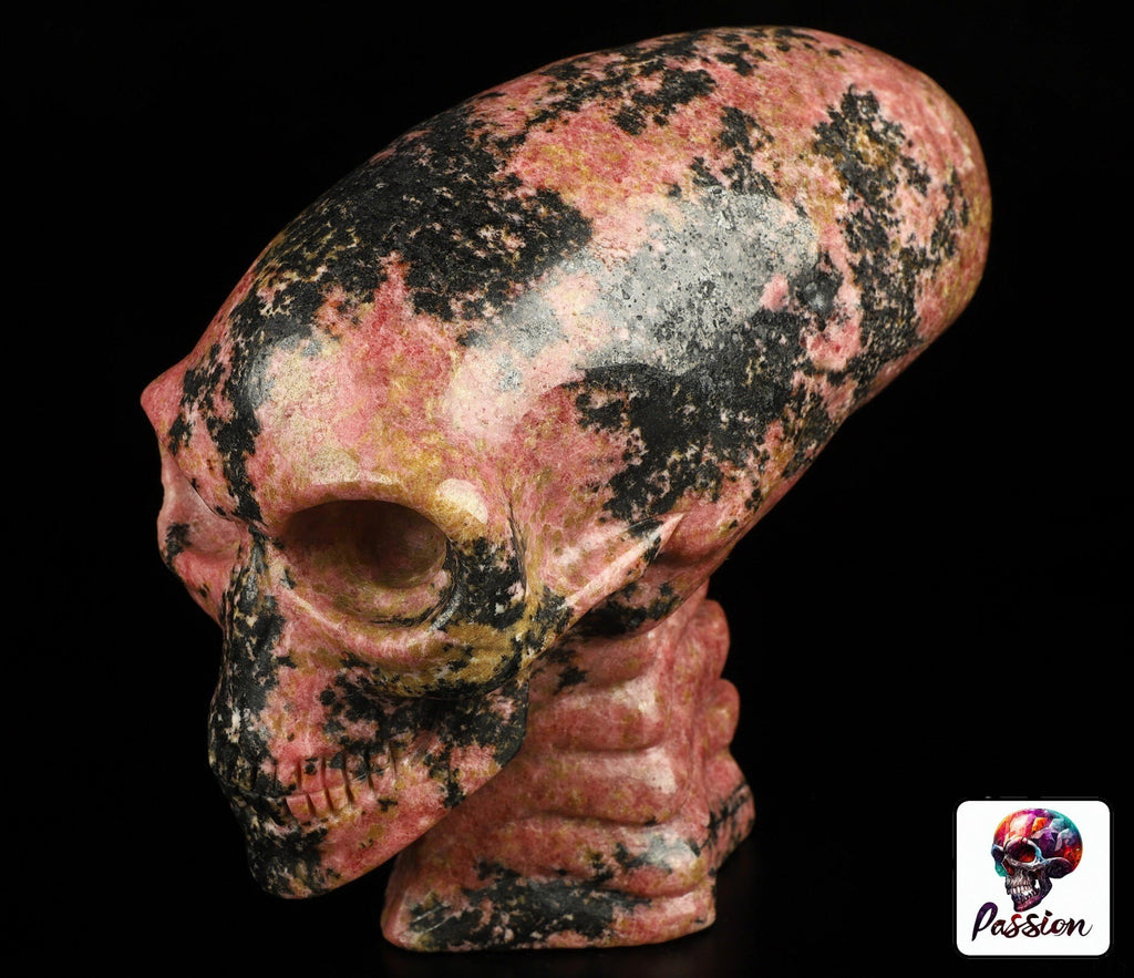 Rodoniet  6,5 inch ,  Sculptuur AALIEDEN Kristallen Schedel  / Maya Reizende Schedel / lithotherapie / Schedel ; Cranio , Kristalloden Schedel