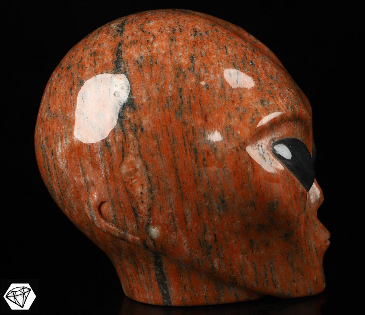 Crâne alien Roswell en granit rouge et labradorite · Pierre naturelle XL