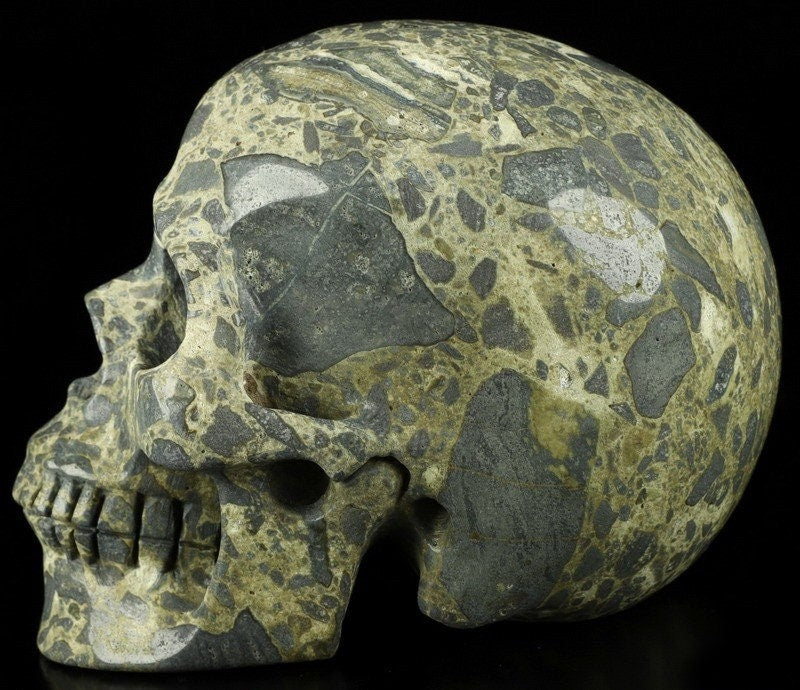 Skeletsteen Jaspeer Brecciatie uit Australië , Cranio , Schädels , Cranio , Skull , reikin Crystal Skull