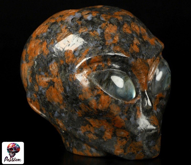 Granito marrone, testa extraterrestre -- > ALIEN Cranio di cristallo Collezione / Litoterapia / Meditazione / Crystal Skull Companion Star
