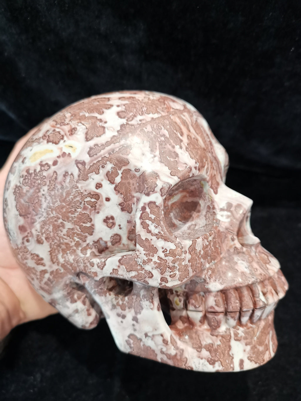 Jaspis krajobrazowy, rzeźba czaszki XL z naturalnego kamienia kolekcjonerskiego / Gabinet osobliwości / Memento mori