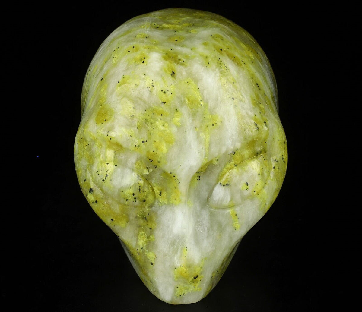 Crâne alien Roswell en serpentine d’Italie · Pierre naturelle XL