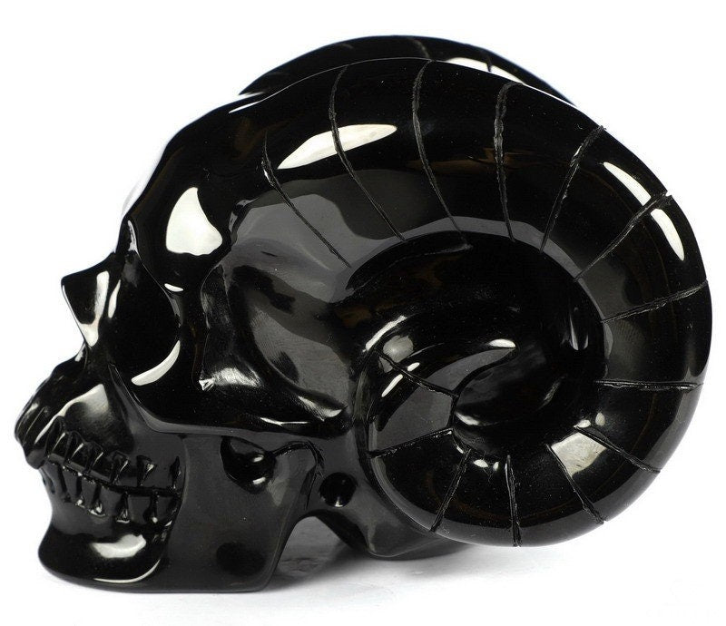 Ossidiana NERA , Teschio in pietra naturale da collezione , Skull collector Crystal Skull