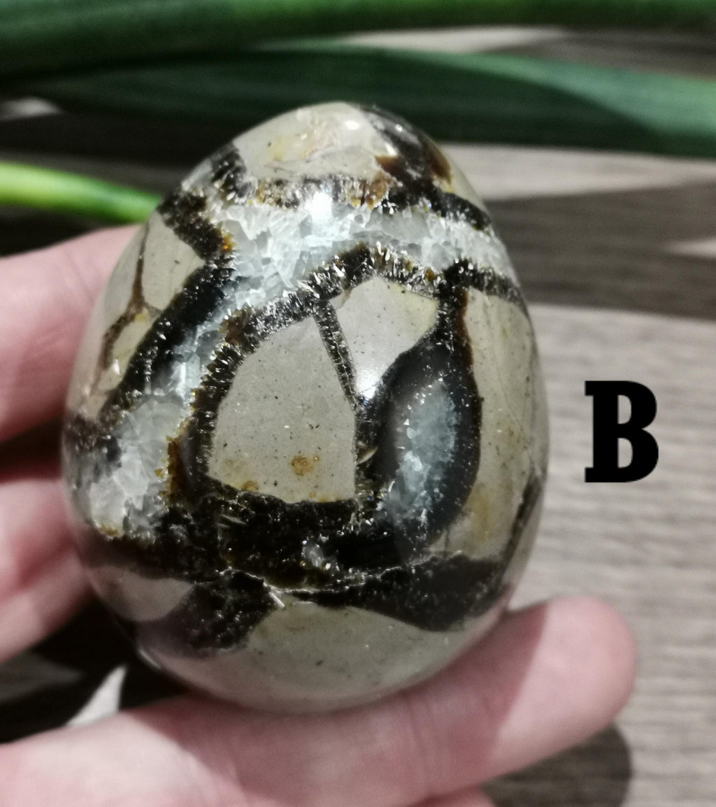 Septaria, Stein namens Drachenei --> EI nach Wahl, fluoreszierender Stein unter UV-Lampe