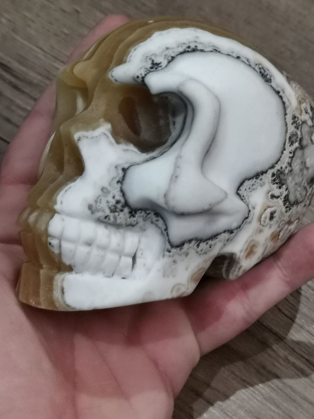 Calcite amarela mel com banda, ágata dendrítica, crânio de coleção / Pedra natural