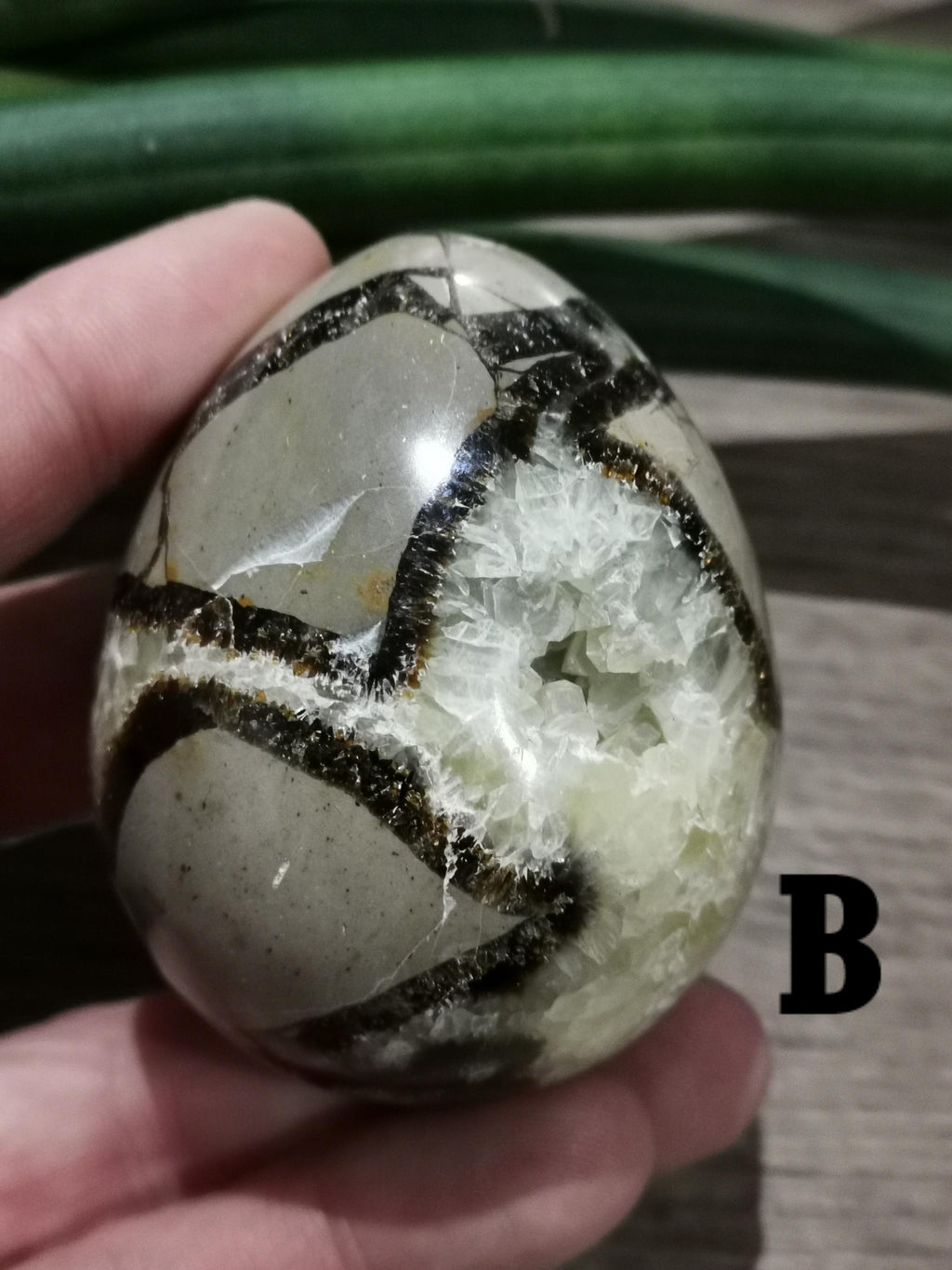 Septaria, Stein namens Drachenei --> EI nach Wahl, fluoreszierender Stein unter UV-Lampe