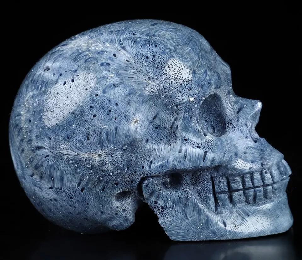 Spugna blu da 2", scultura di un teschio, fossile rarissimo / Meditazione / Cranio