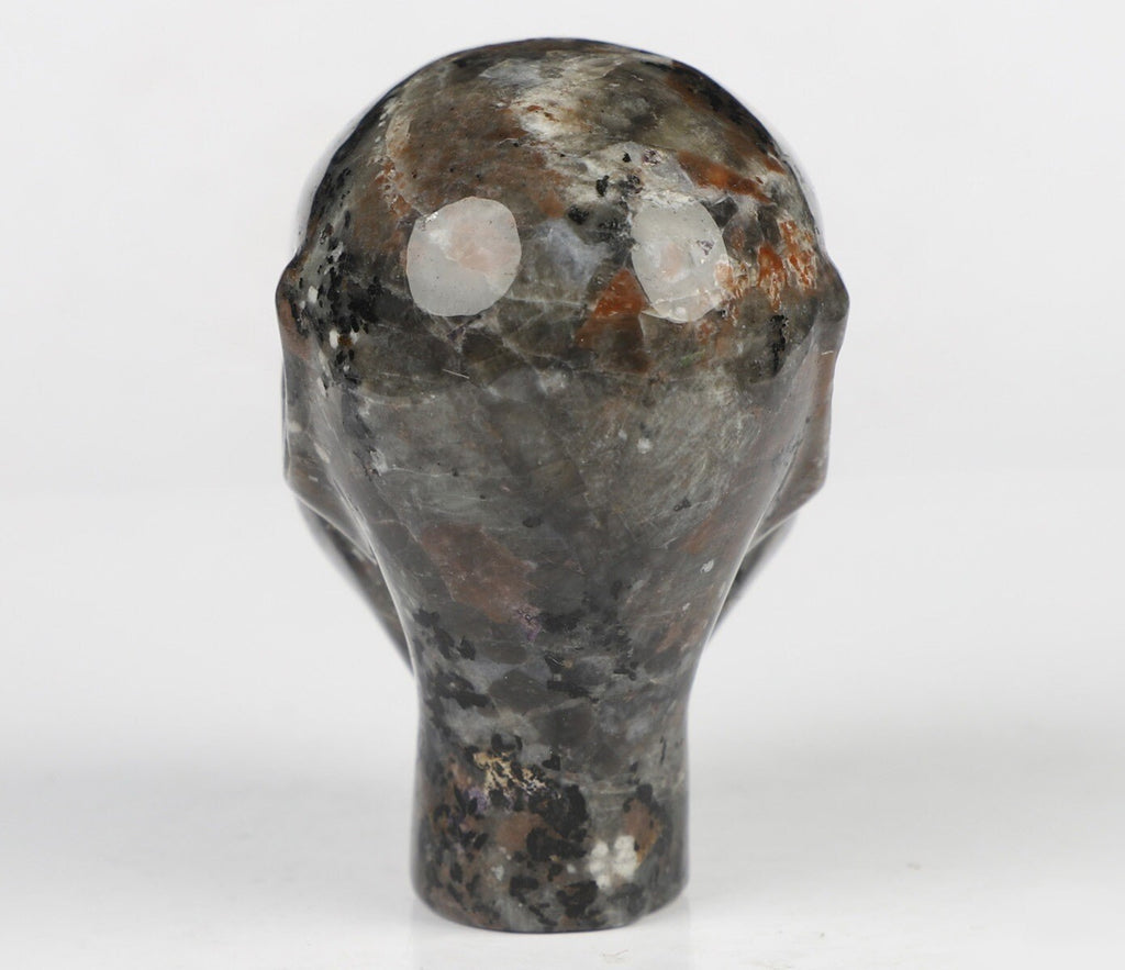2" Yooperlite / Flamstone / Crâne de cristal de collection / Pierre précieuse /  Skull , Cranio , SchÄdel , Craneo