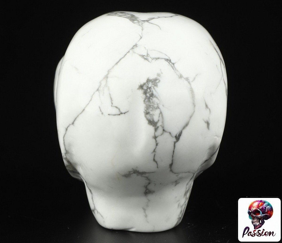 Howlite " turquesa blanca " ALIEN Roswell /Cráneo de piedra natural de colección / decoración Skull , Cráneo , SchÄdel , Cráneo