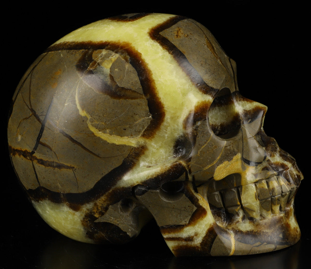 SEPTARIA  Pierre du dragon , Crâne XL en pierre naturelle , taillé main Top qualité , Cranio , SchÄdel , SKULL Crystal Skull