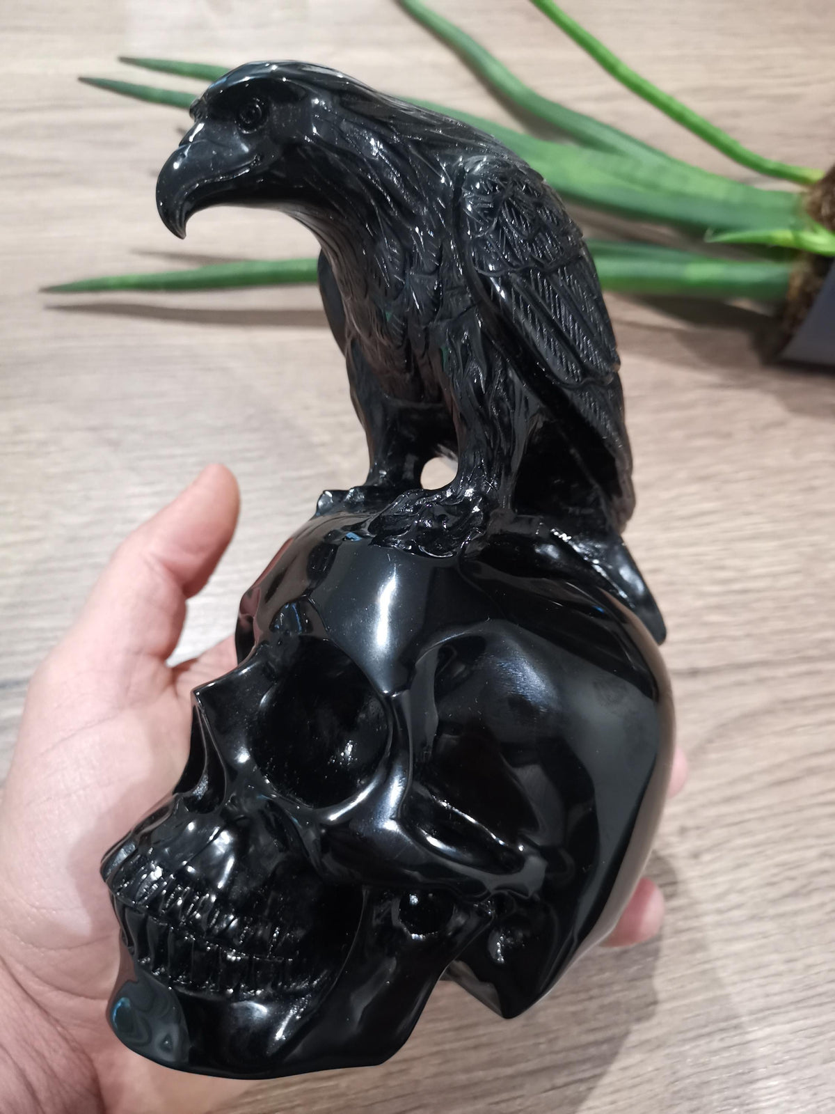 Crâne et corbeau en obsidienne noire · Sculpture de collection