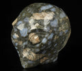 Opale Blu: Que Sera llanite, teschio in pietra naturale da collezione / Teschio, cranio, teschio, teschio di cristallo