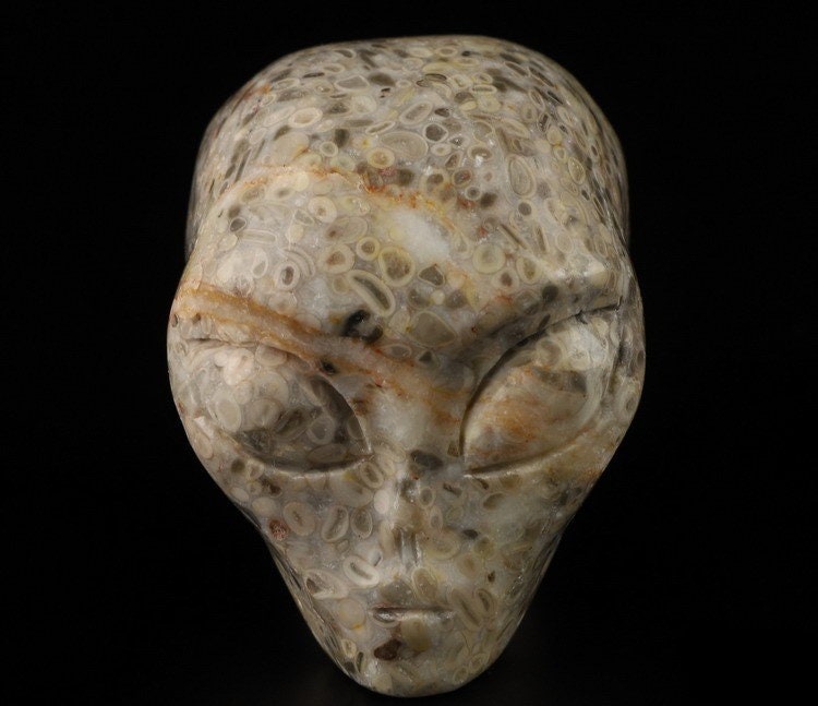 Teschio alieno in pietra con fossili di crinoidi · Pezzo unico · 50 mm