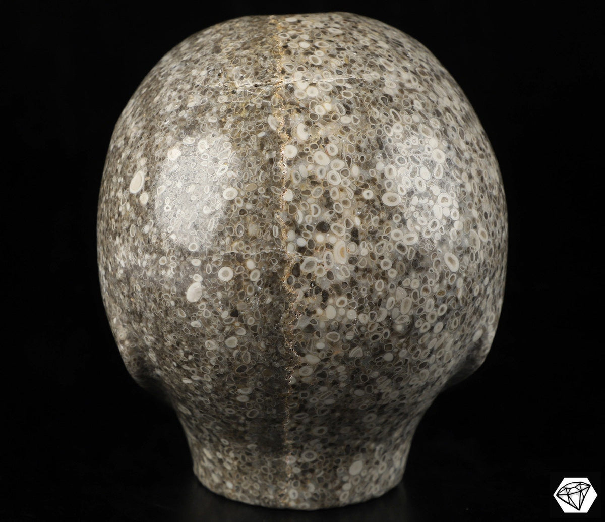 Roswell alien skull in crinoid fossil stone and labradorite · XL