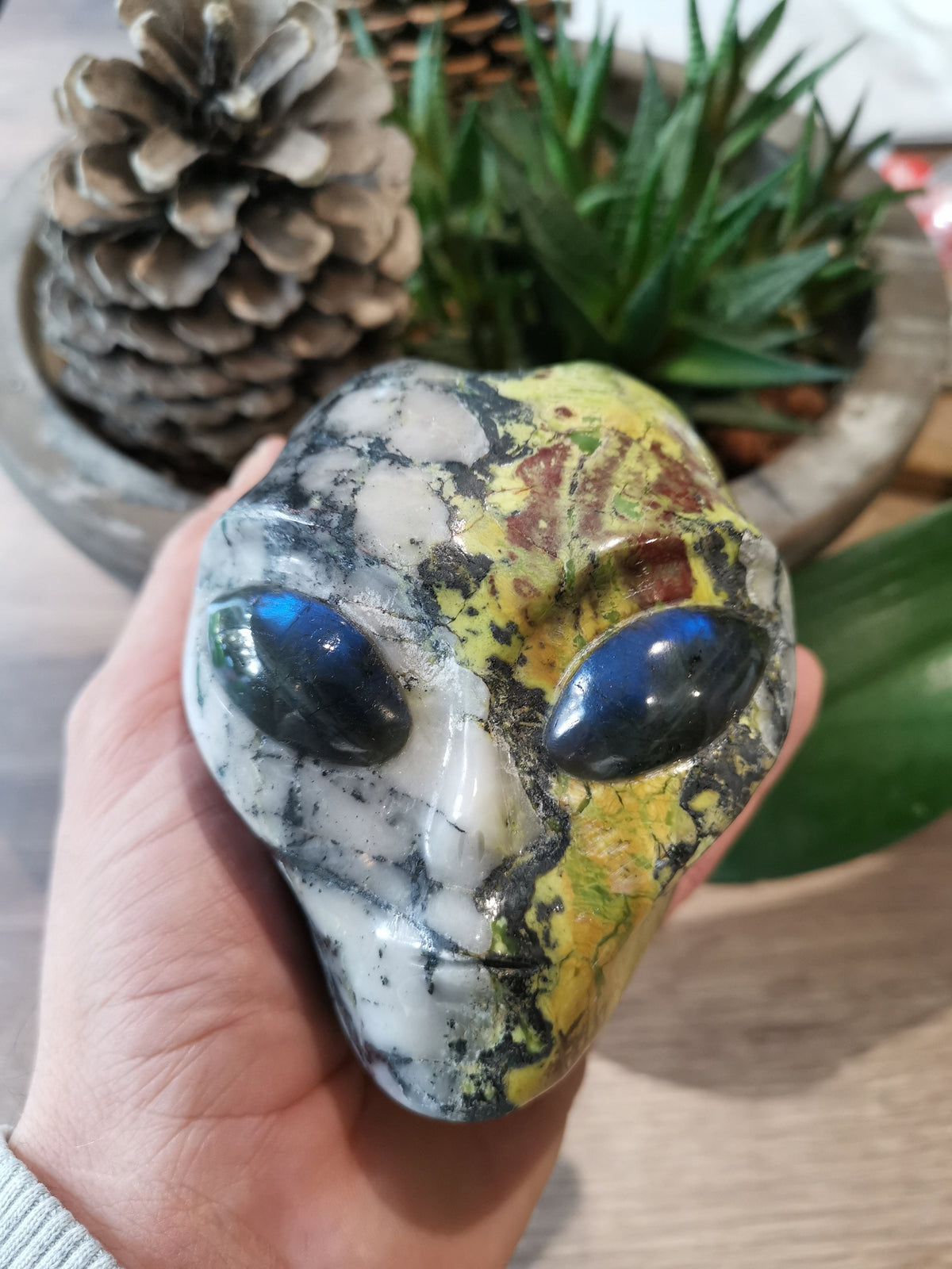Jaspe hiso de chine / Crâne Type Roswell Extra-terrestre pierre taille Xl ,  Crystal Skull Companion Star Crystal Skull