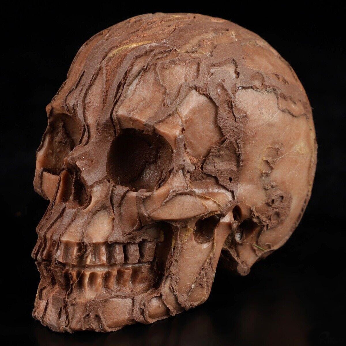 2" Jasper 3D Art / Natural stone skull / crystal healing / meditation Crystal Skull