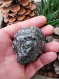 Fossile di crinoide N2, teschio di donna aliena di Roswell, minerale scolpito da collezione / REIKI SKULL Teschio di cristallo