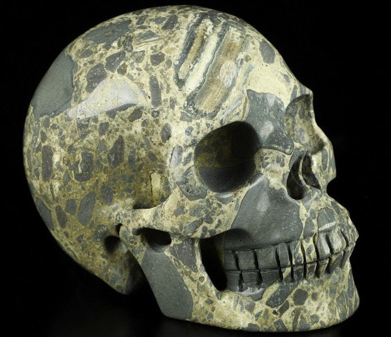 Skeletsteen Jaspeer Brecciatie uit Australië , Cranio , Schädels , Cranio , Skull , reikin Crystal Skull